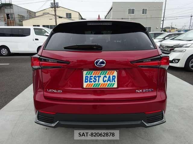 Lexus NX 2021-06 371692-6