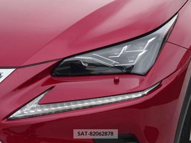 Lexus NX 2021-06 371692-3