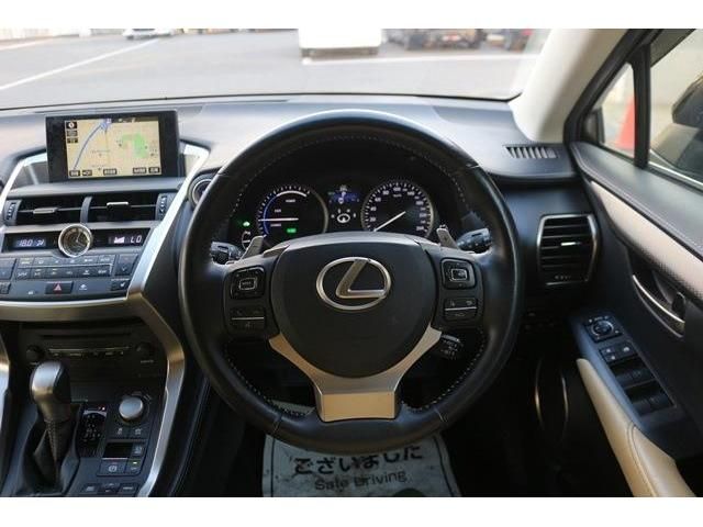 Lexus NX 2014-10 19335-13