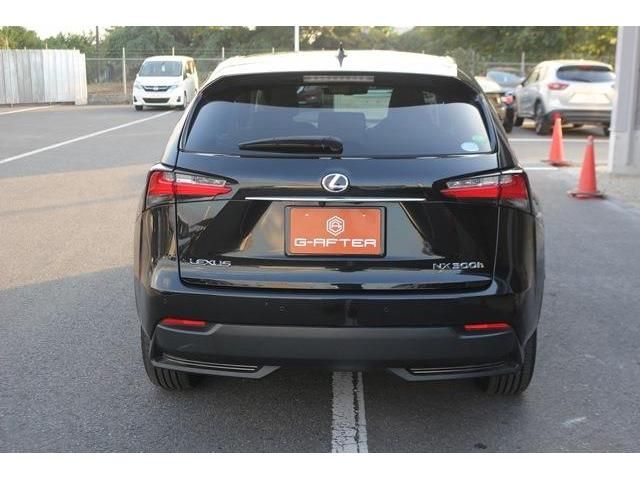 Lexus NX 2014-10 19335-3