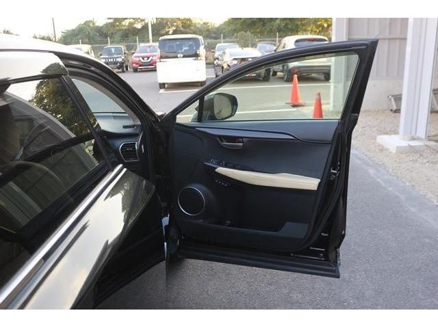 Lexus NX 2014-10 19335-9