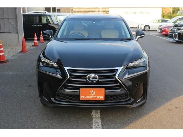 Lexus NX 2014-10 19335-1