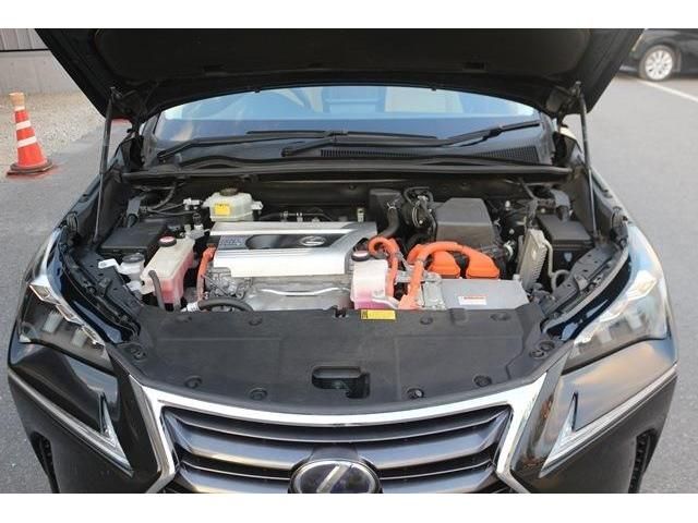 Lexus NX 2014-10 19335-17