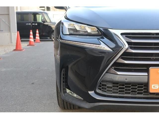 Lexus NX 2014-10 19335-4