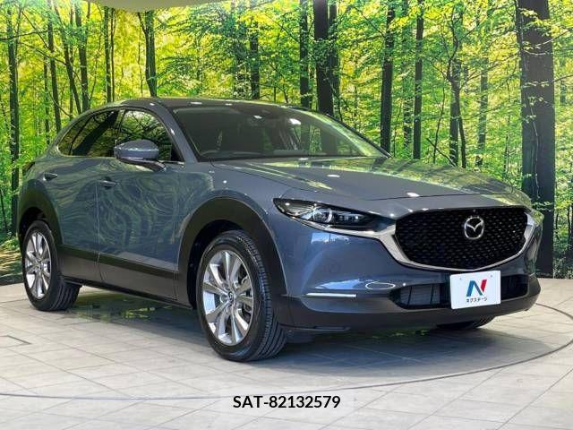 Mazda CX-30 2020-03 358512-16