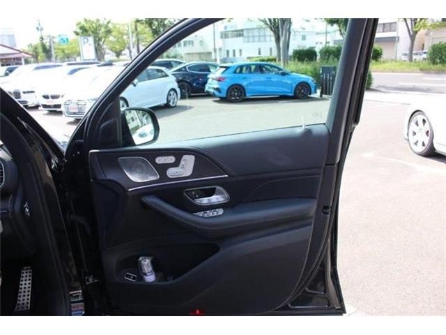 Mercedes Benz GLE-CLASS 2022-01 8199-18