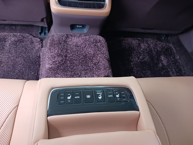 Lexus LS 2017-11 180966-25