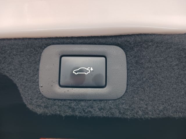 Lexus LS 2017-11 180966-27