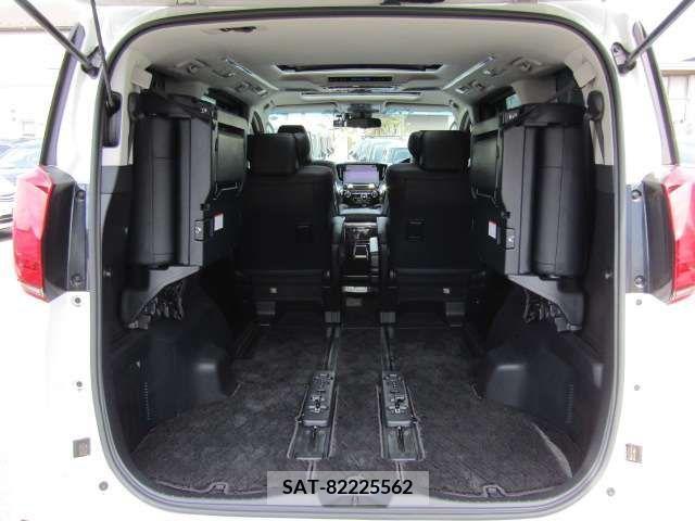 Toyota ALPHARD 2019-02 299474-19