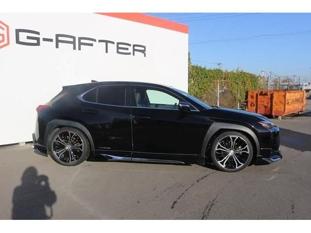 Lexus UX 2019-03 182805-2