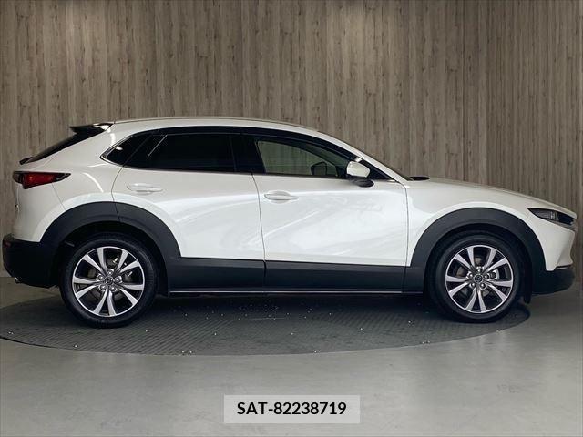 Mazda CX-30 2020-09 295584-3