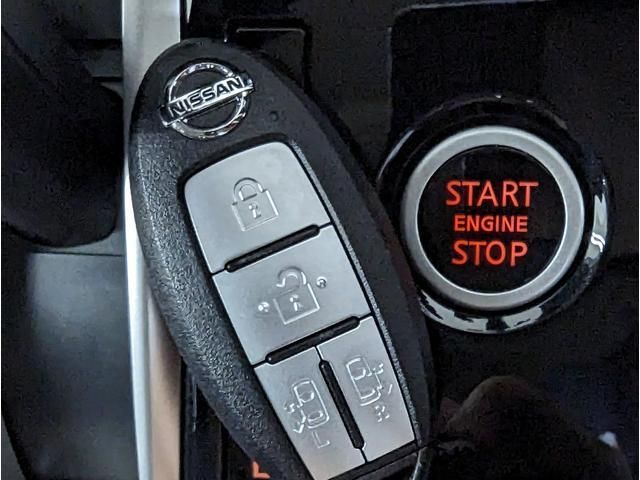 Nissan SERENA 2017-06 195576-4