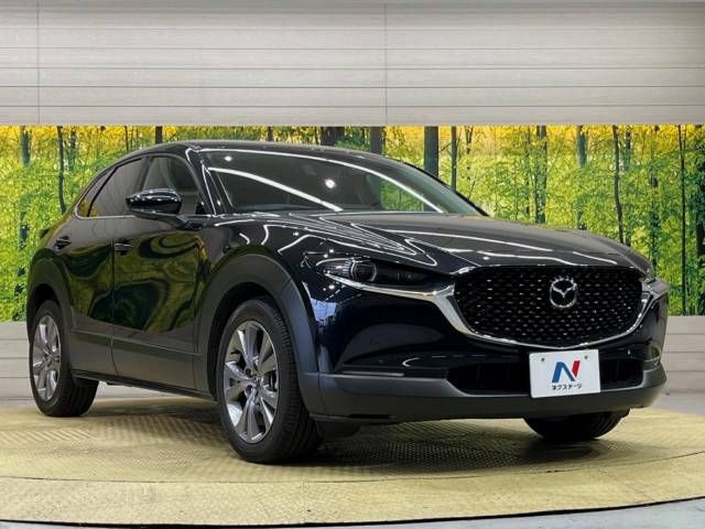 Mazda CX-30 2023-03 29270-16