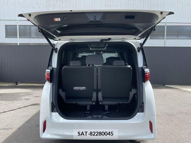 Toyota ALPHARD 2023-08 203841-9