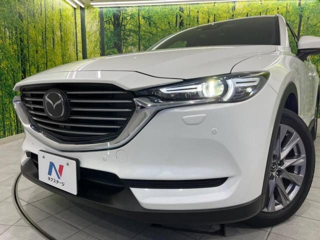 Mazda CX-8 2019-07 22943-13