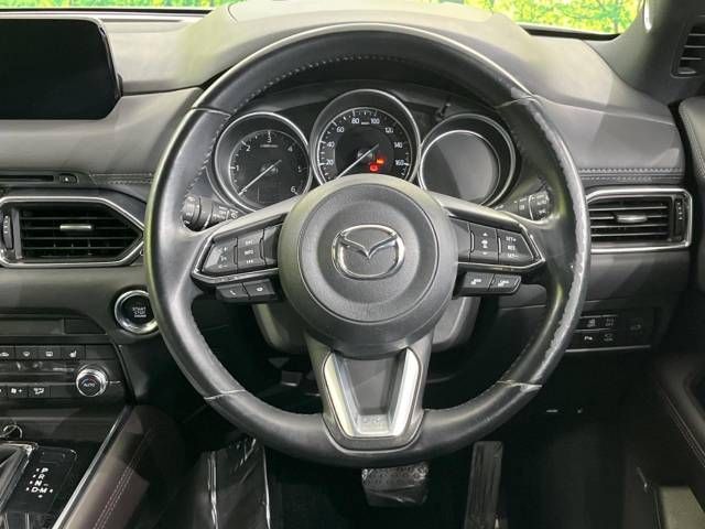 Mazda CX-8 2019-07 22943-12