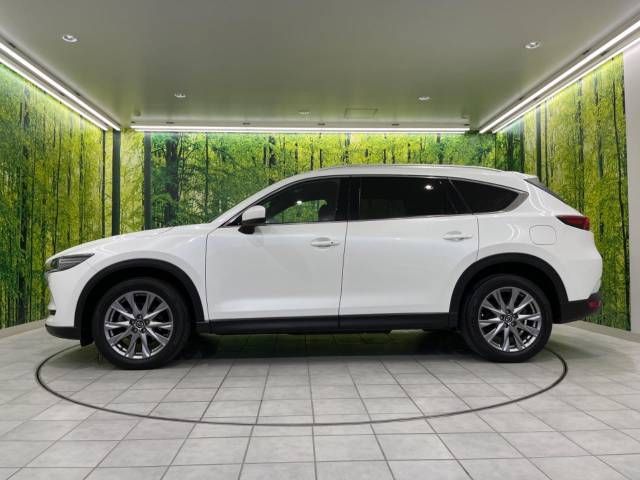 Mazda CX-8 2019-07 22943-19