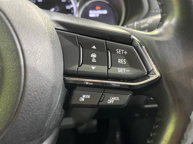 Mazda CX-8 2019-07 22943-5
