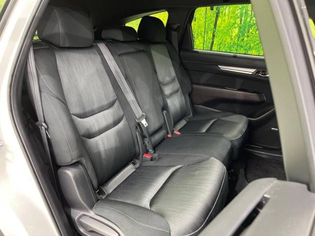 Mazda CX-8 2019-07 22943-9