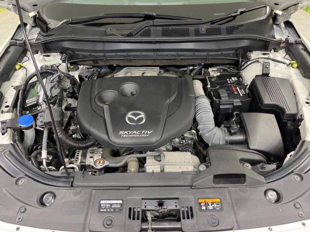 Mazda CX-8 2019-07 22943-17