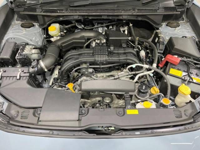 Subaru SUBARU 2019-03 188472-18