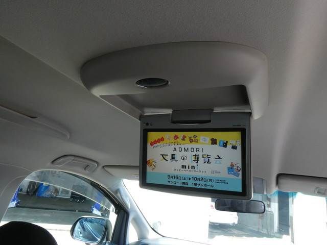Toyota VELLFIRE 2010-07 17029-10