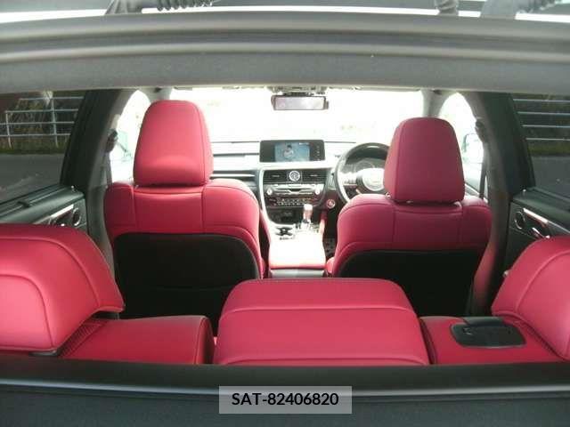 Lexus RX 2019-09 257295-17