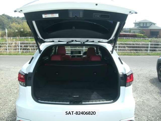 Lexus RX 2019-09 257295-15