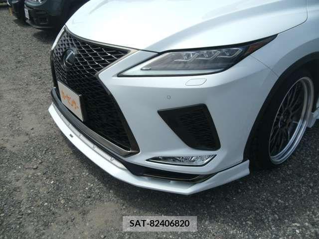 Lexus RX 2019-09 257295-4