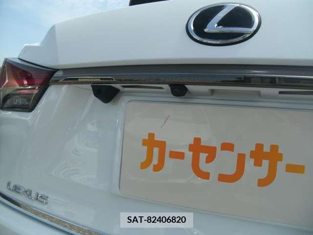 Lexus RX 2019-09 257295-14