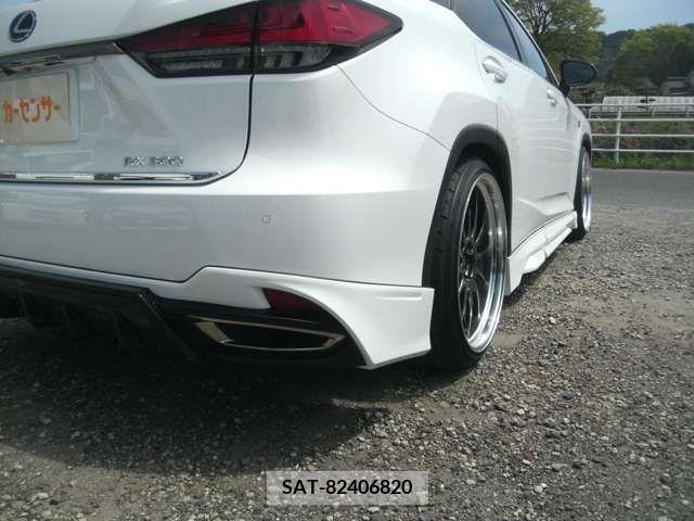 Lexus RX 2019-09 257295-12