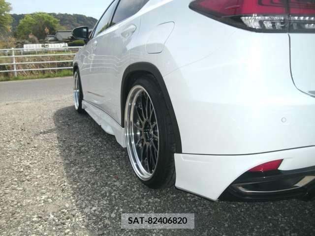 Lexus RX 2019-09 257295-13