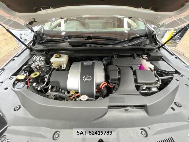 Lexus RX 2020-08 354162-18