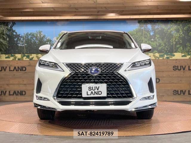 Lexus RX 2020-08 354162-14