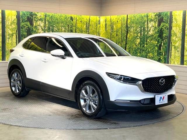 Mazda CX-30 2023-03 189341-17
