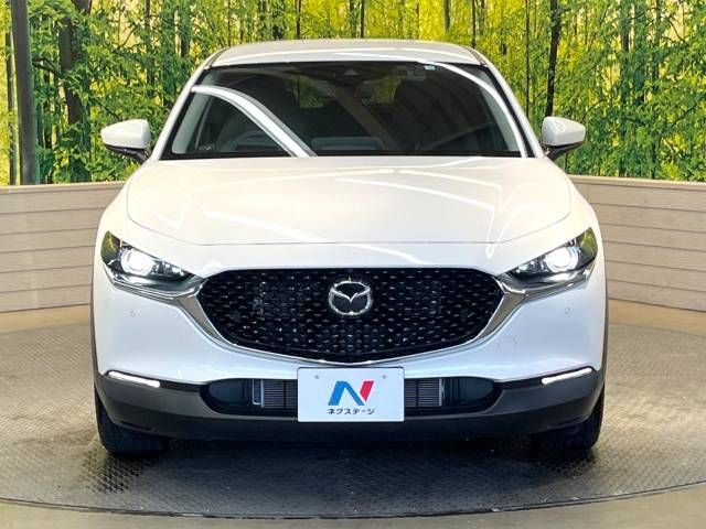 Mazda CX-30 2023-03 189341-15