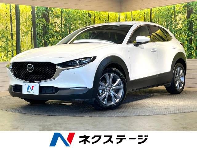 Mazda CX-30 2023-03 189341-0