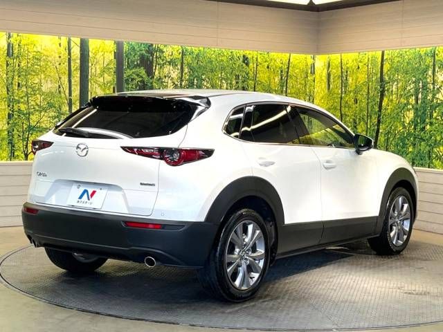 Mazda CX-30 2023-03 189341-18