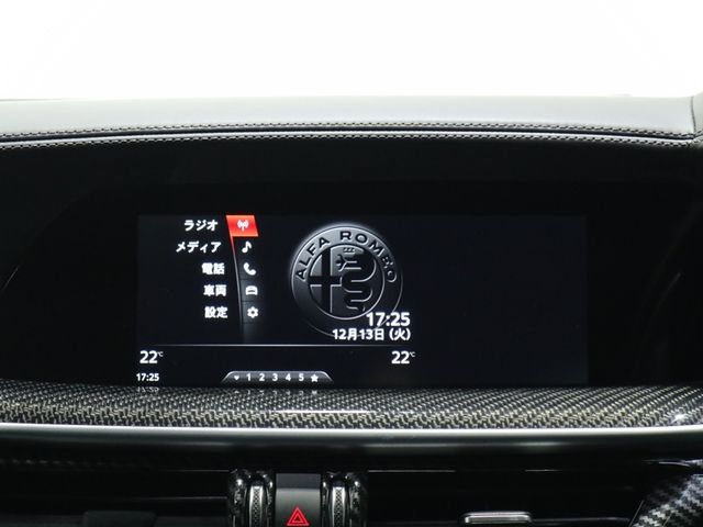 ALFA ROMEO STELVIO 2019-01 188948-14