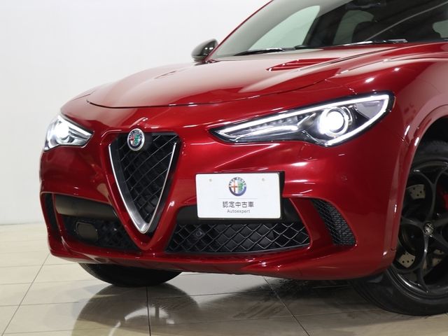ALFA ROMEO STELVIO 2019-01 188948-5