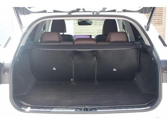 Lexus RX 2016-03 6670-17
