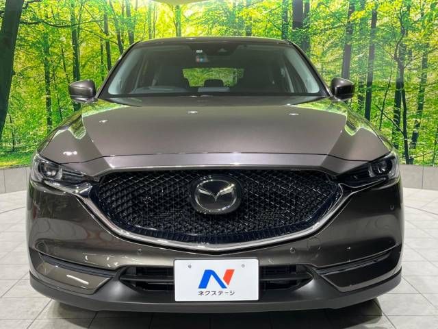 Mazda CX-5 2019-07 195694-14