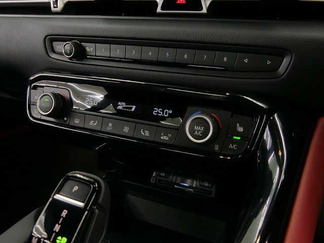 Toyota SUPRA 2021-10 15976-13
