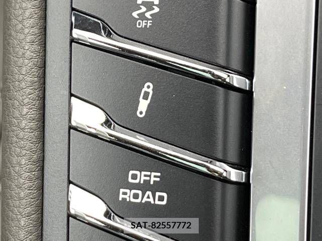 Porsche MACAN 2019-07 333549-4
