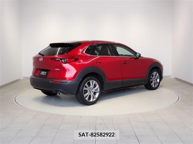 Mazda CX-30 2020-12 396193-5