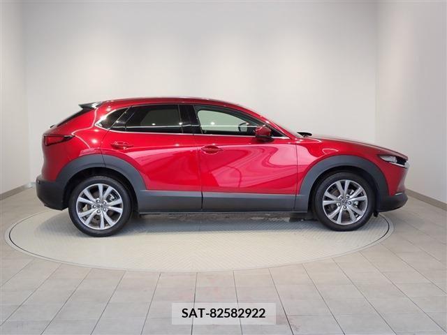 Mazda CX-30 2020-12 396193-29