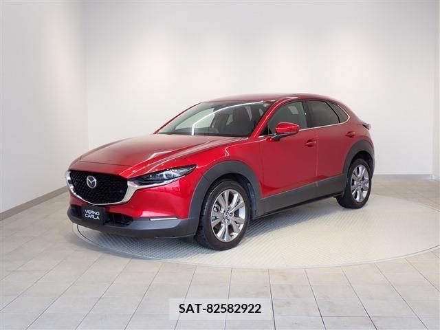 Mazda CX-30 2020-12 396193-3