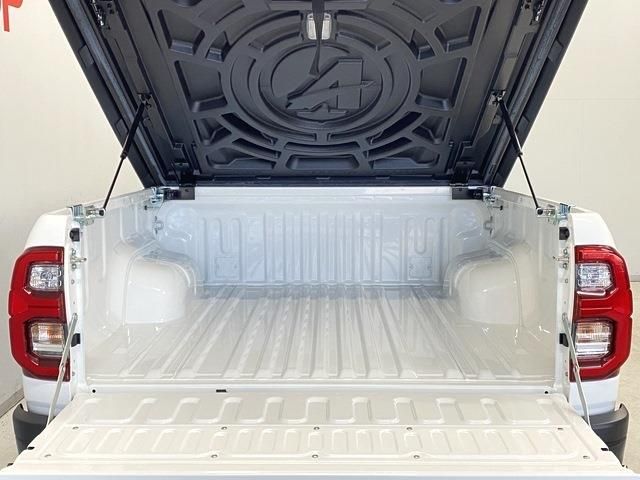 Toyota HILUX 2023-01 196818-10