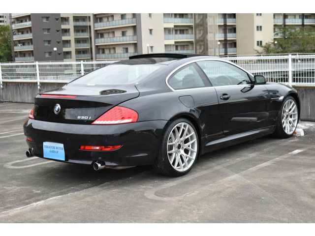 Bmw 6 SERIES 2009-10 19387-8