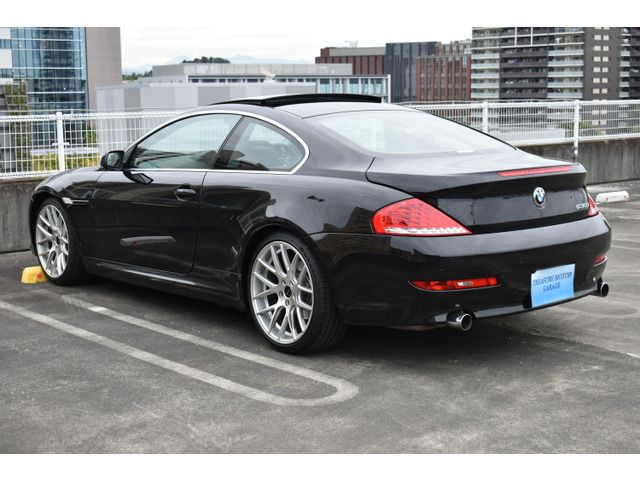 Bmw 6 SERIES 2009-10 19387-7